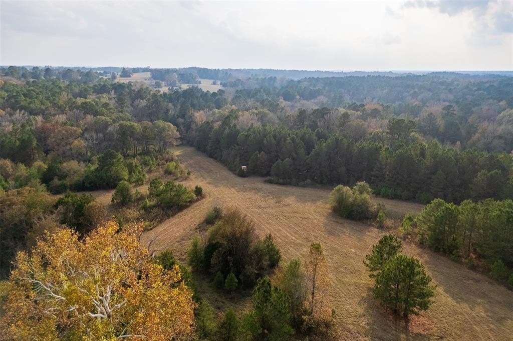 197.8 acres in Houston County - photo 5
