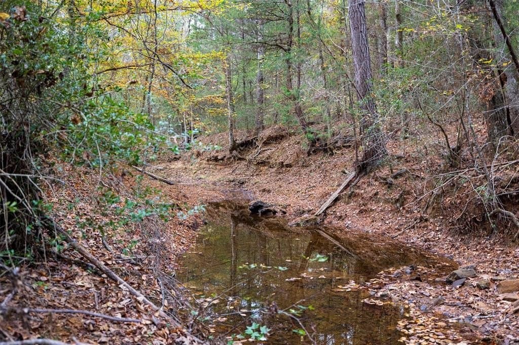 197.8 acres in Houston County - photo 31