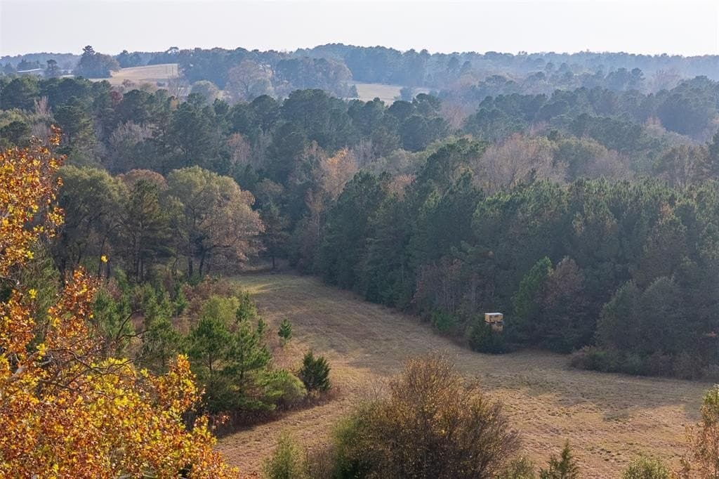 197.8 acres in Houston County - photo 2
