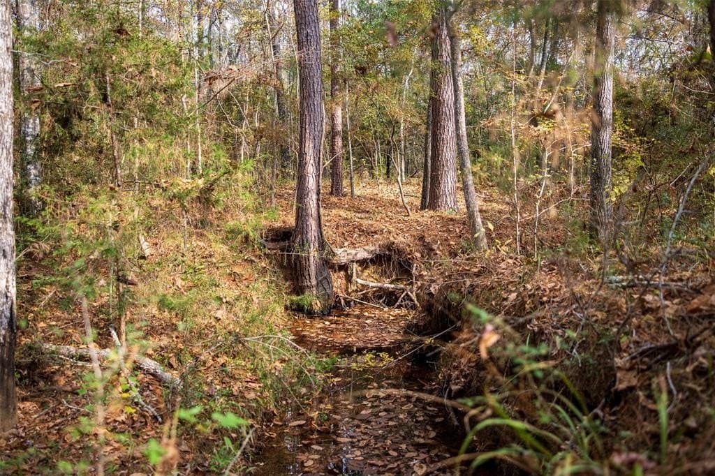 197.8 acres in Houston County - photo 19