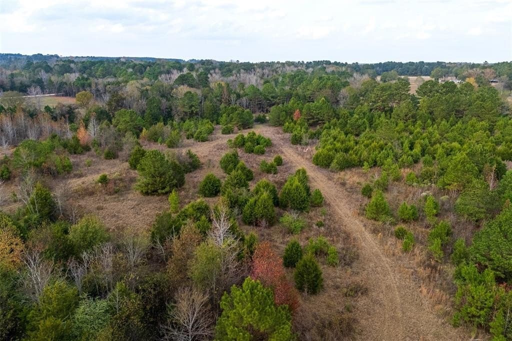 197.8 acres in Houston County - photo 7