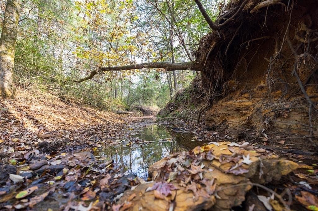 197.8 acres in Houston County - photo 26