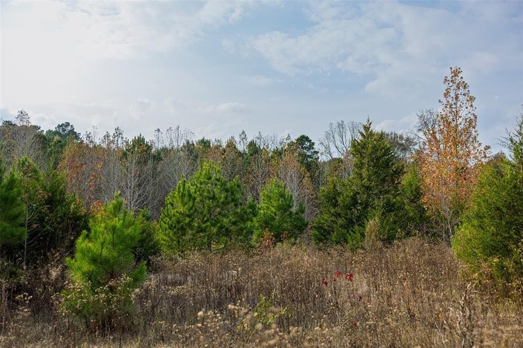 197.8 acres in Houston County - photo 9
