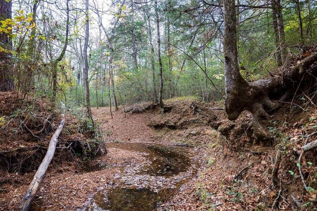 197.8 acres in Houston County - photo 30