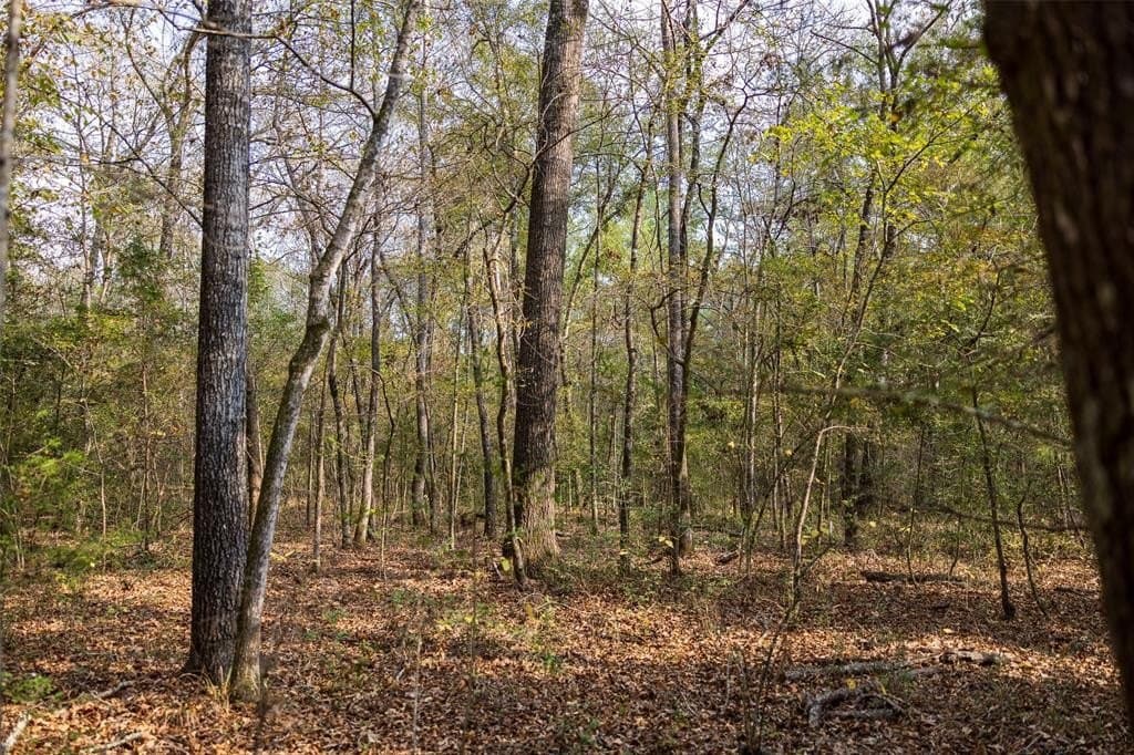197.8 acres in Houston County - photo 22