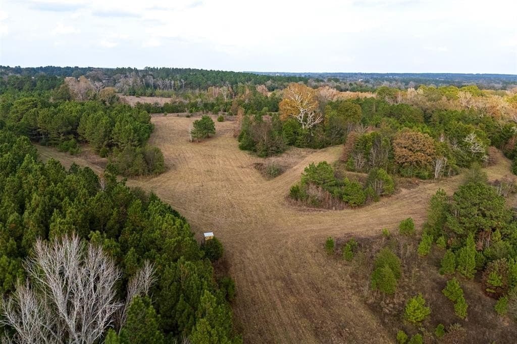 197.8 acres in Houston County - photo 8