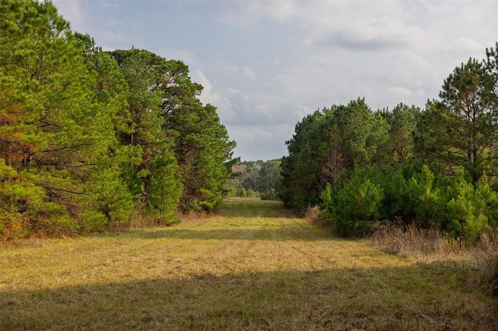197.8 acres in Houston County - photo 14