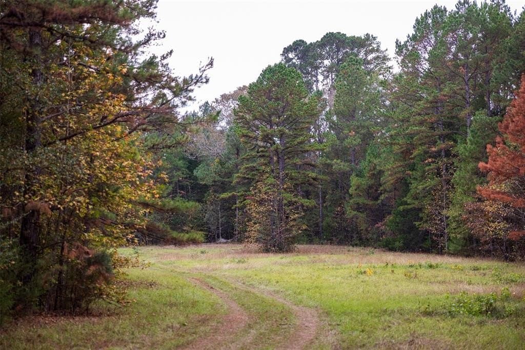 197.8 acres in Houston County - photo 18