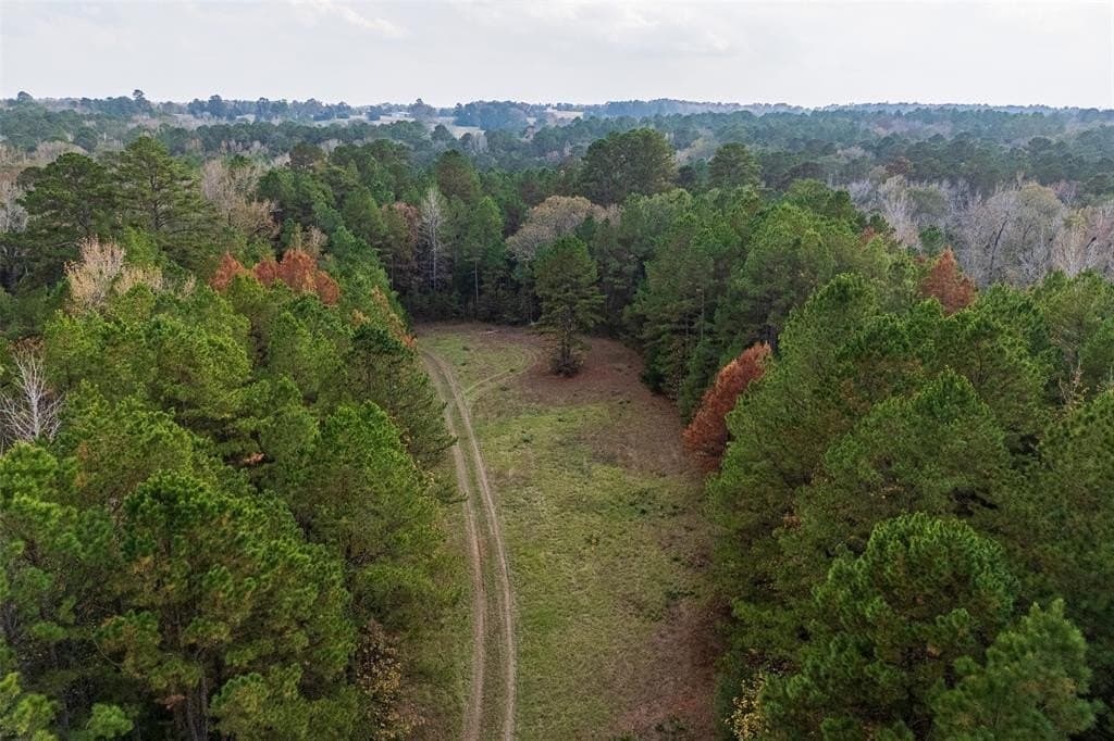 197.8 acres in Houston County - photo 17