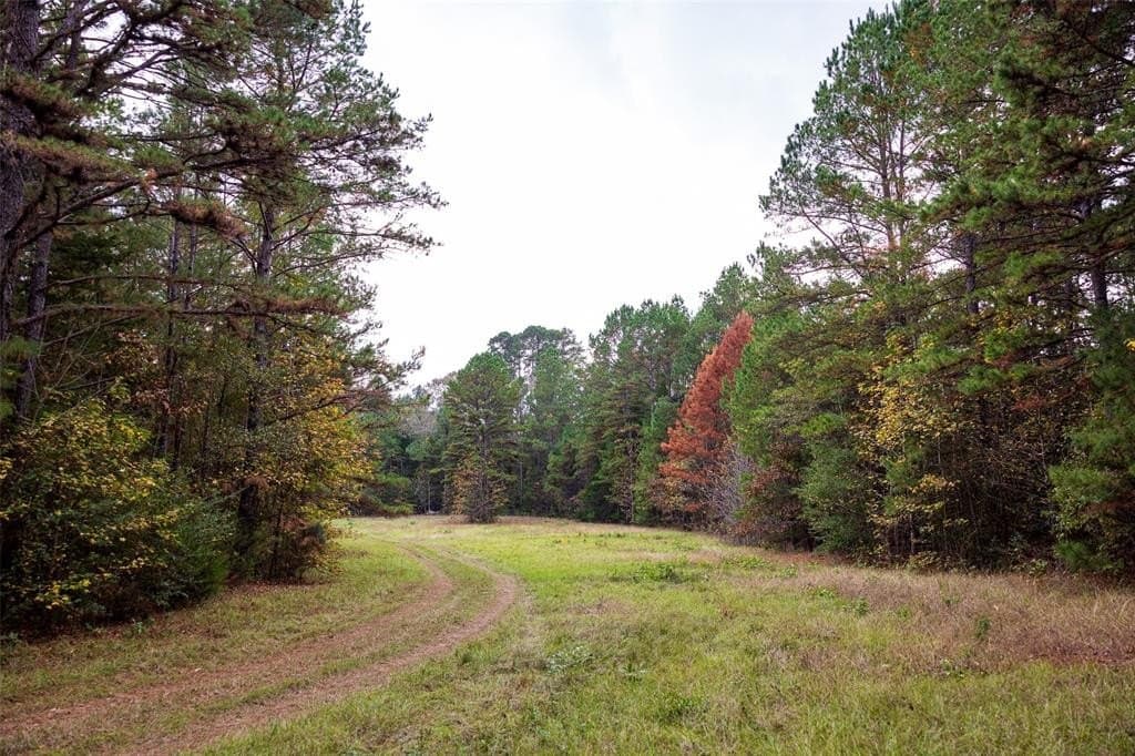 197.8 acres in Houston County - photo 38