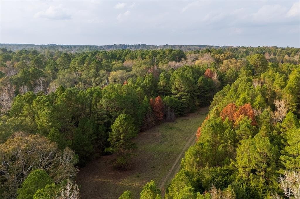 197.8 acres in Houston County - photo 13