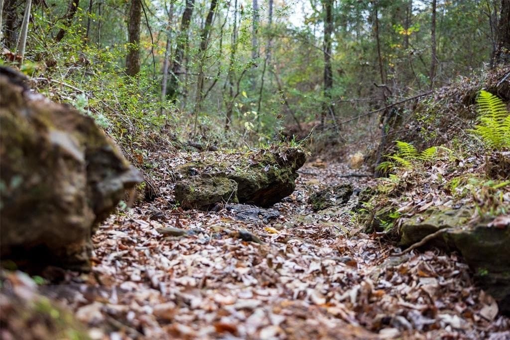 197.8 acres in Houston County - photo 28