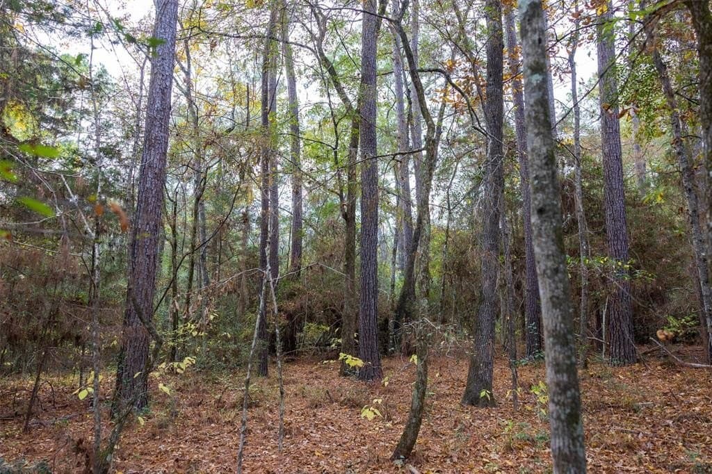 197.8 acres in Houston County - photo 23