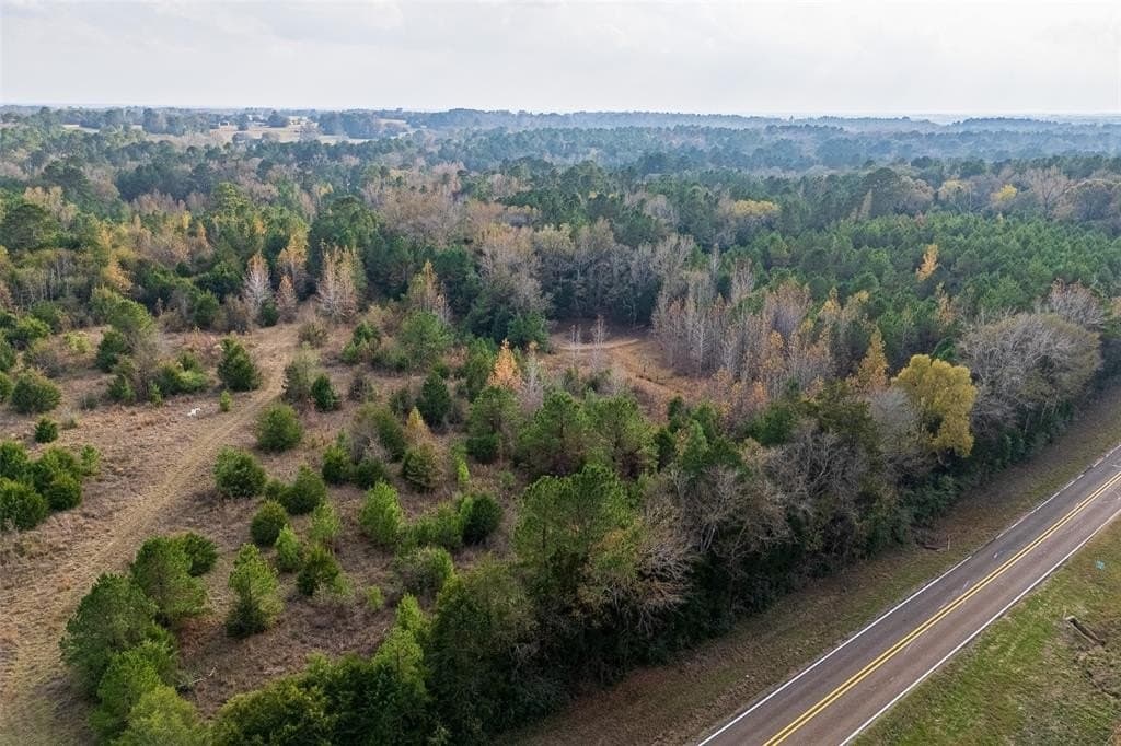 197.8 acres in Houston County - photo 3