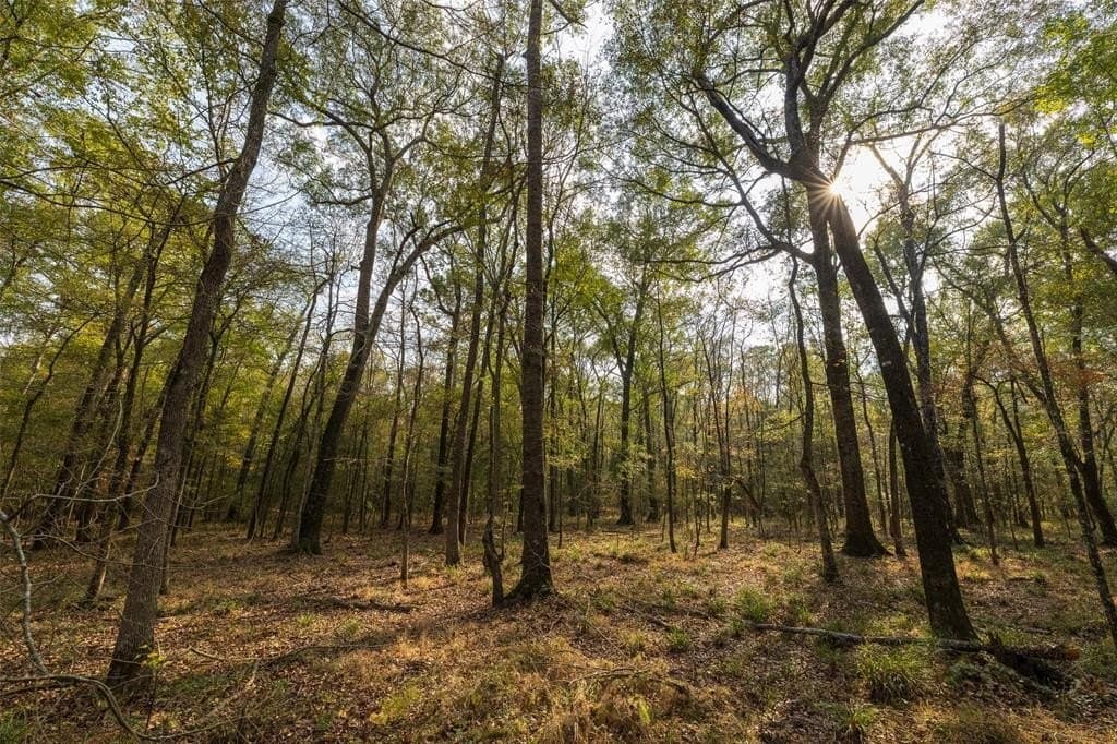 197.8 acres in Houston County - photo 25
