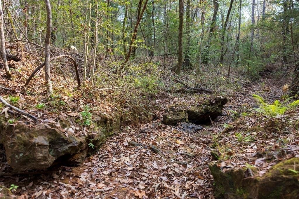 197.8 acres in Houston County - photo 29