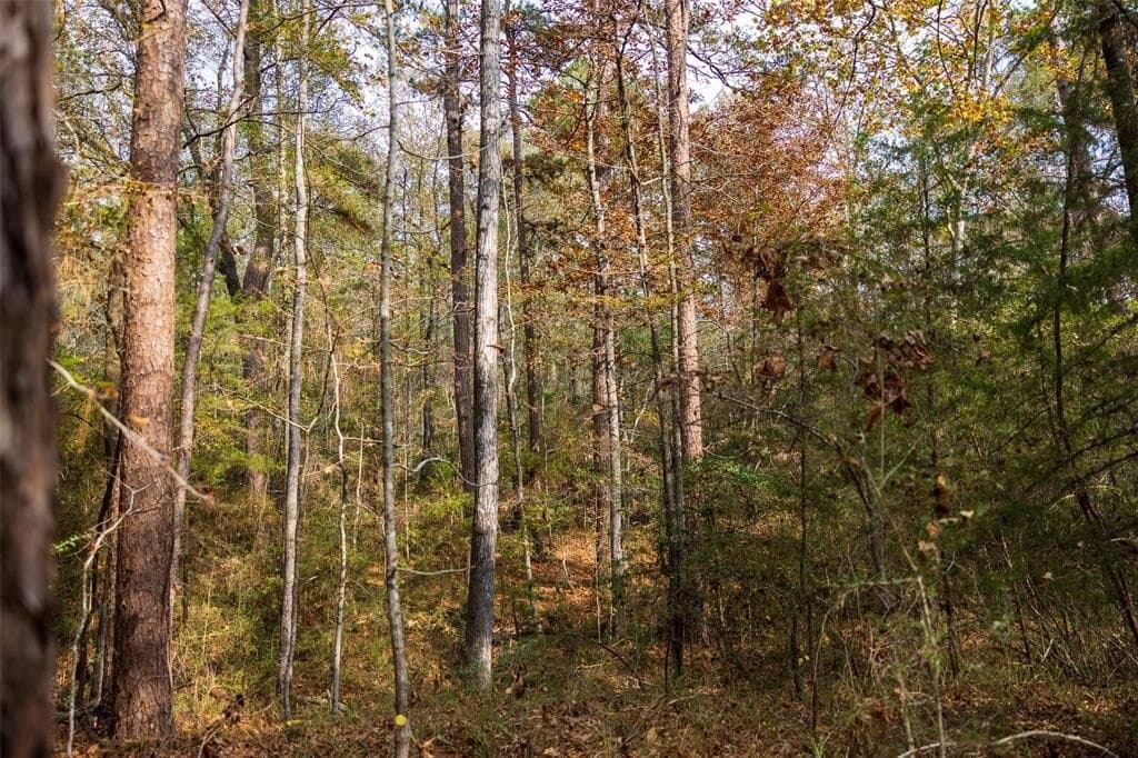 197.8 acres in Houston County - photo 36