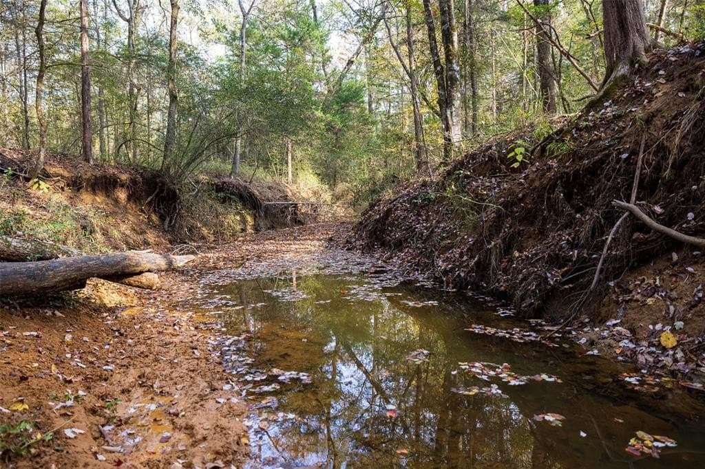 197.8 acres in Houston County - photo 35