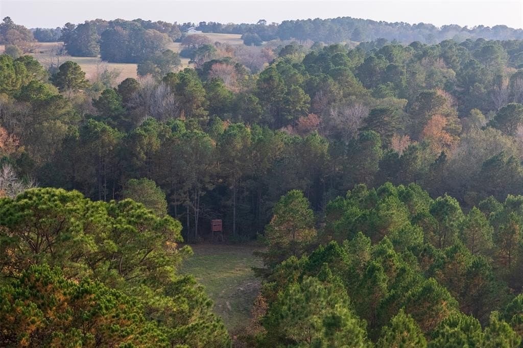 197.8 acres in Houston County - photo 12