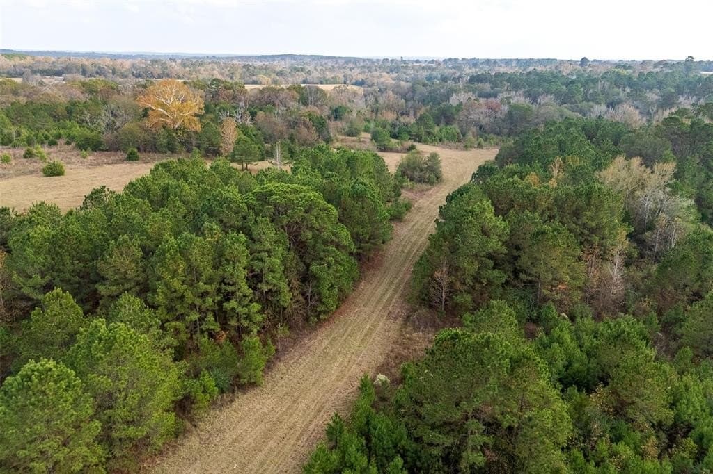 197.8 acres in Houston County - photo 6