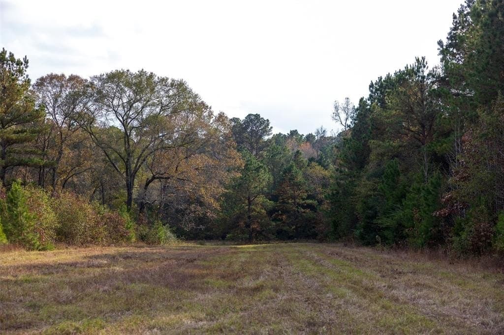 197.8 acres in Houston County - photo 15