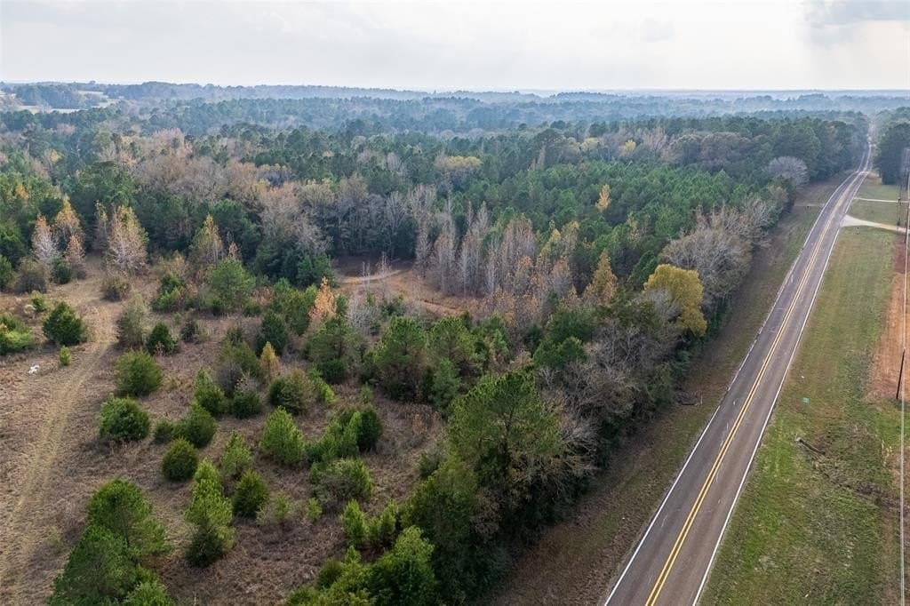 197.8 acres in Houston County - photo 39