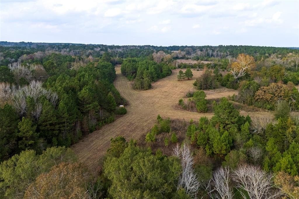 197.8 acres in Houston County - photo 33