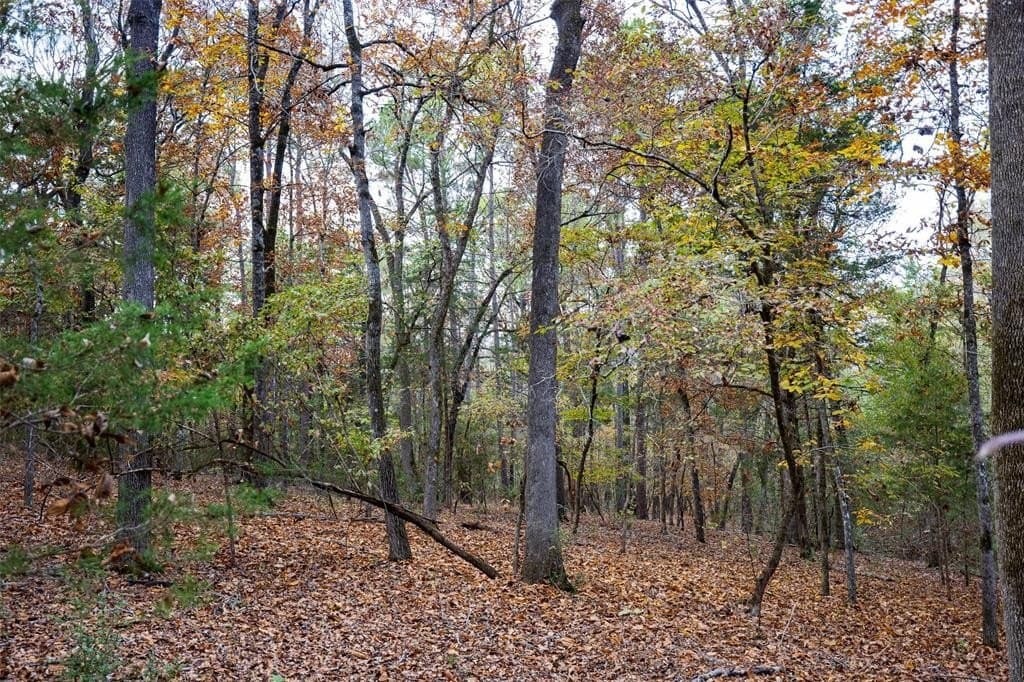 197.8 acres in Houston County - photo 34