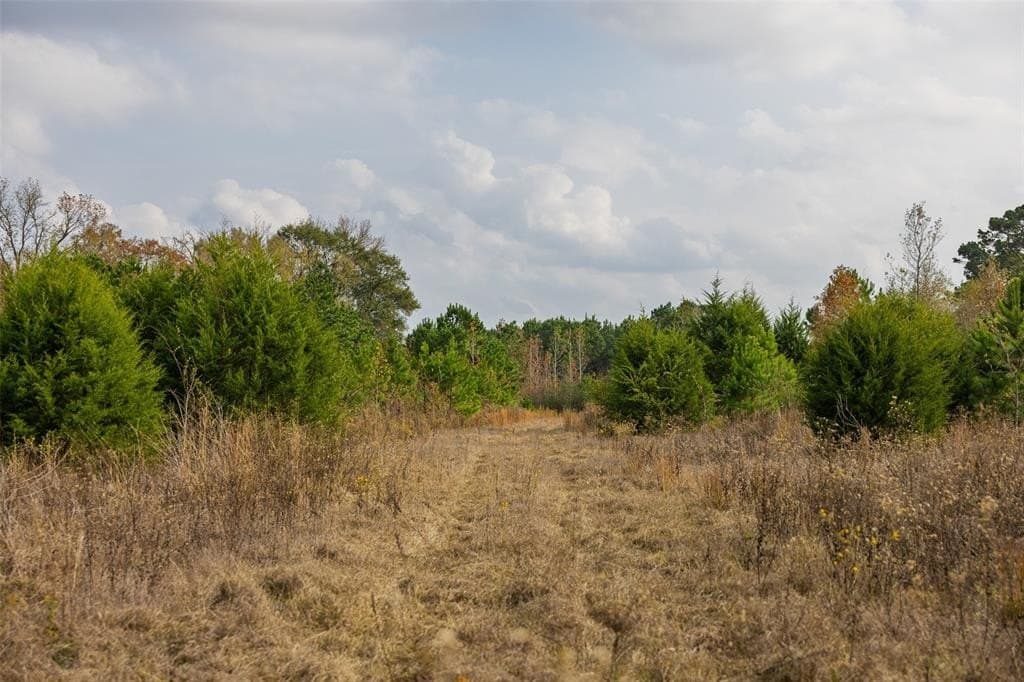 197.8 acres in Houston County - photo 10