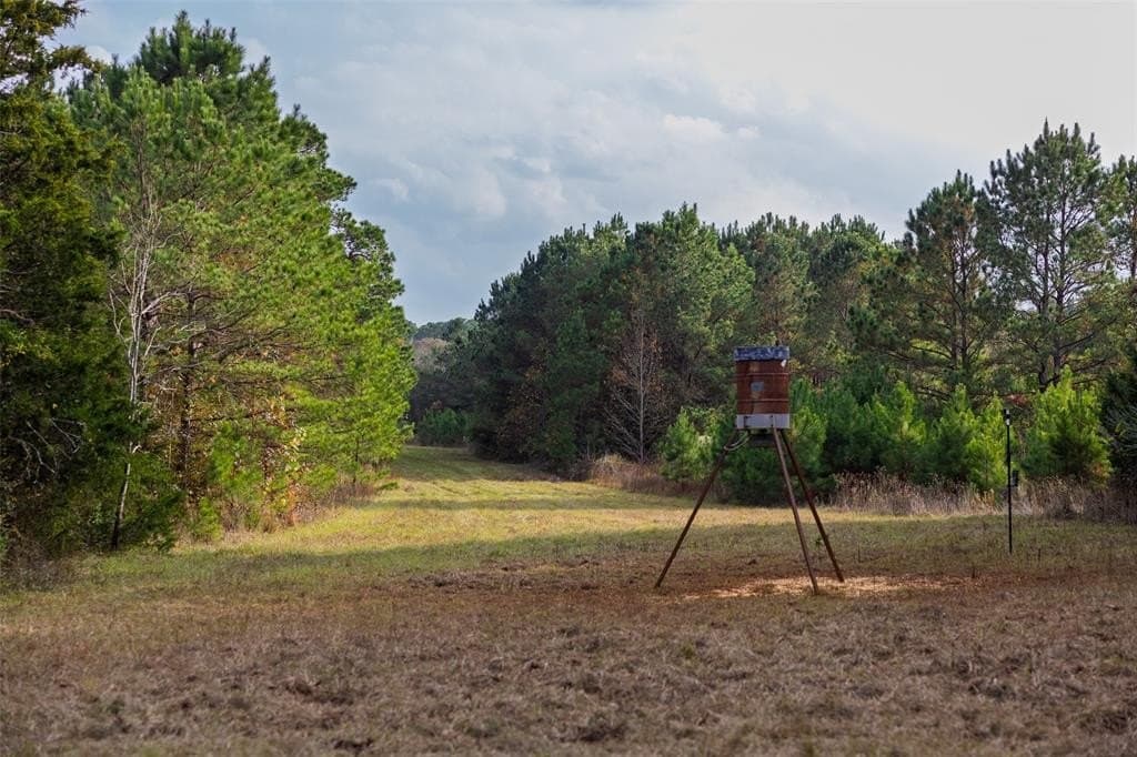 197.8 acres in Houston County - photo 11