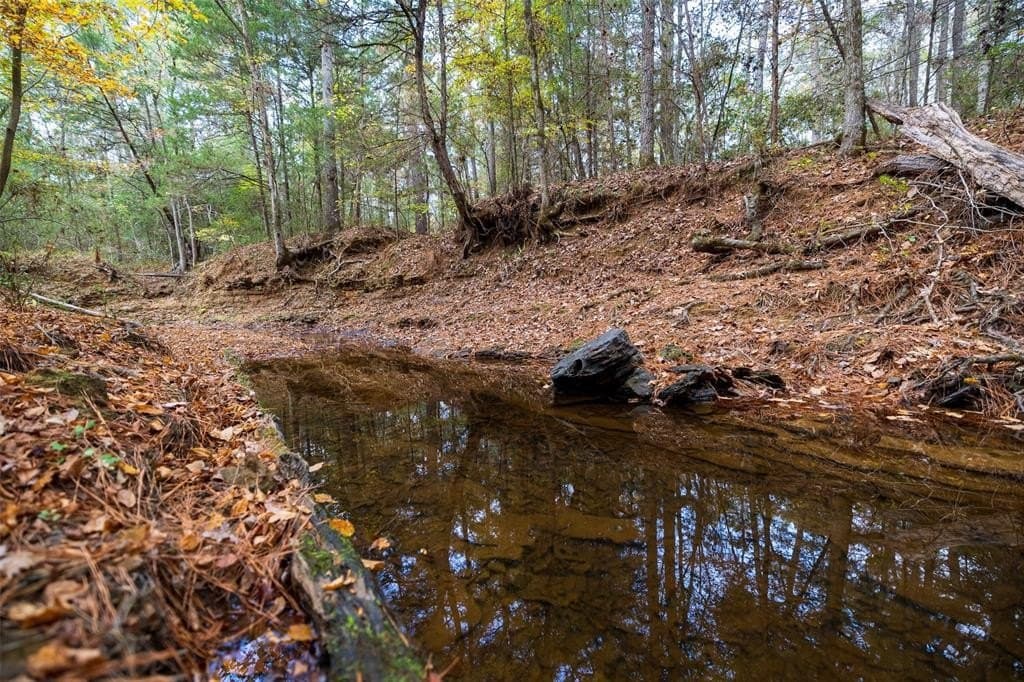 197.8 acres in Houston County - photo 32