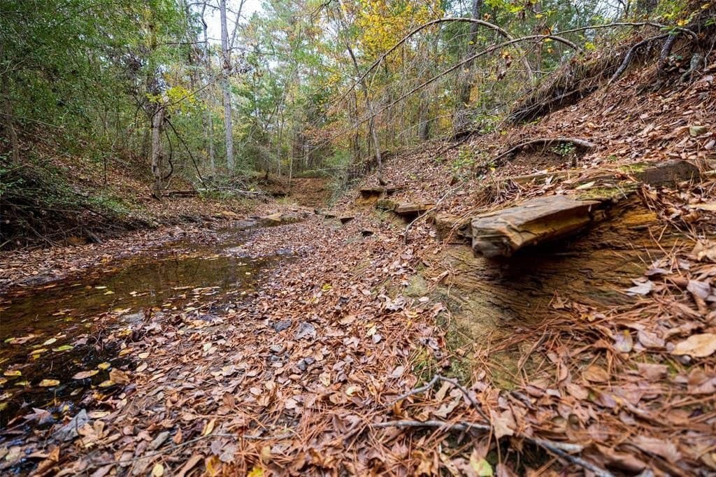 197.8 acres in Houston County - photo 37