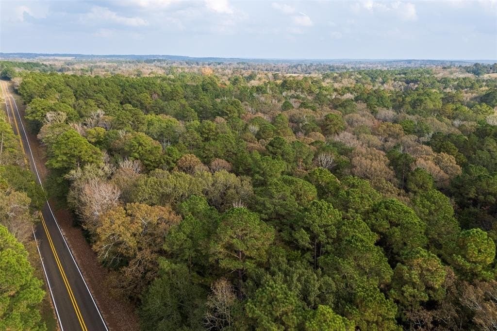 197.8 acres in Houston County - photo 4