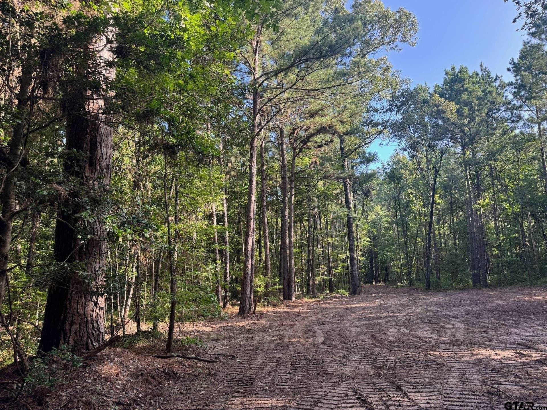 5 acres in Cherokee County - photo 5