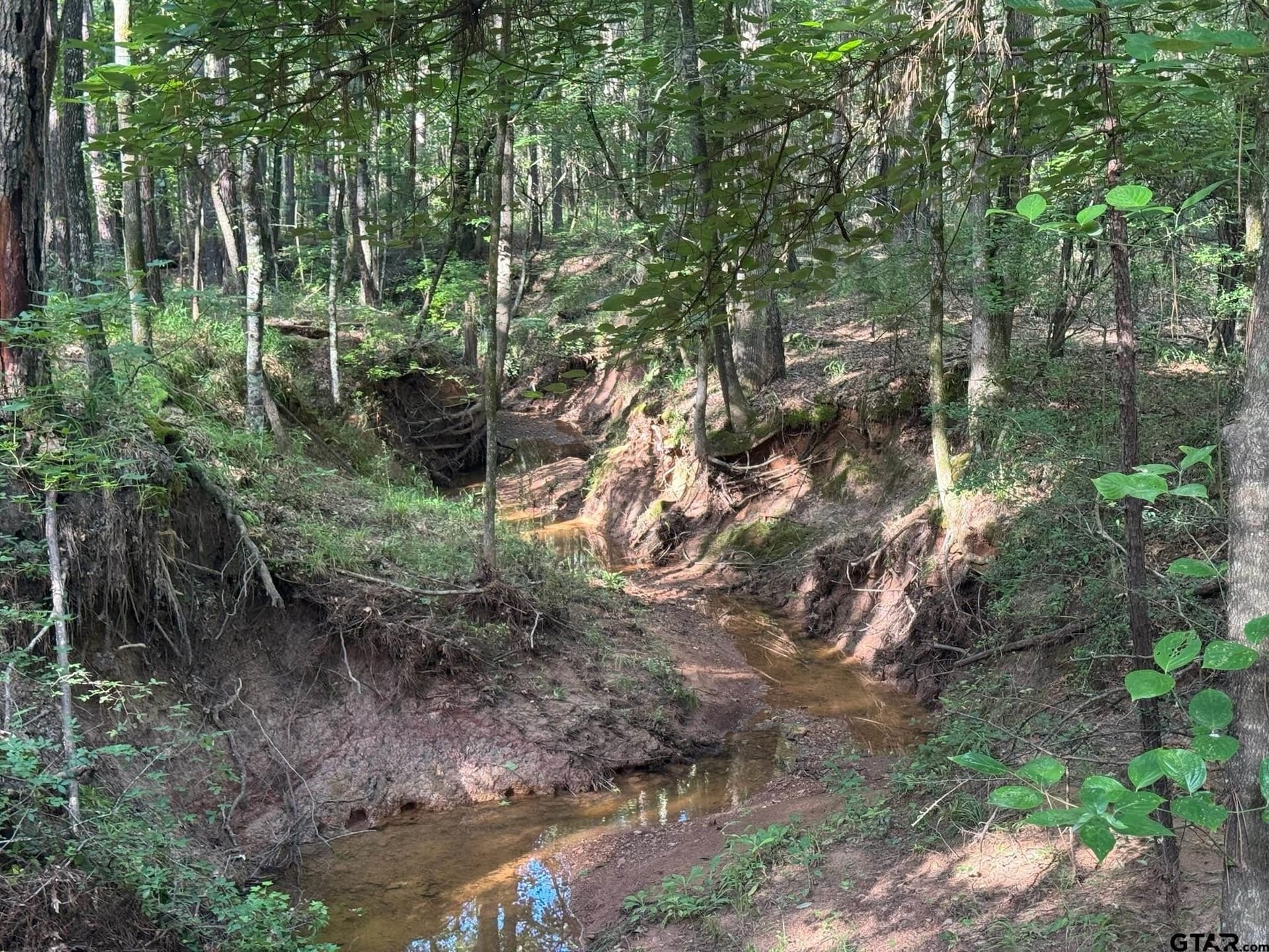 5 acres in Cherokee County - photo 3