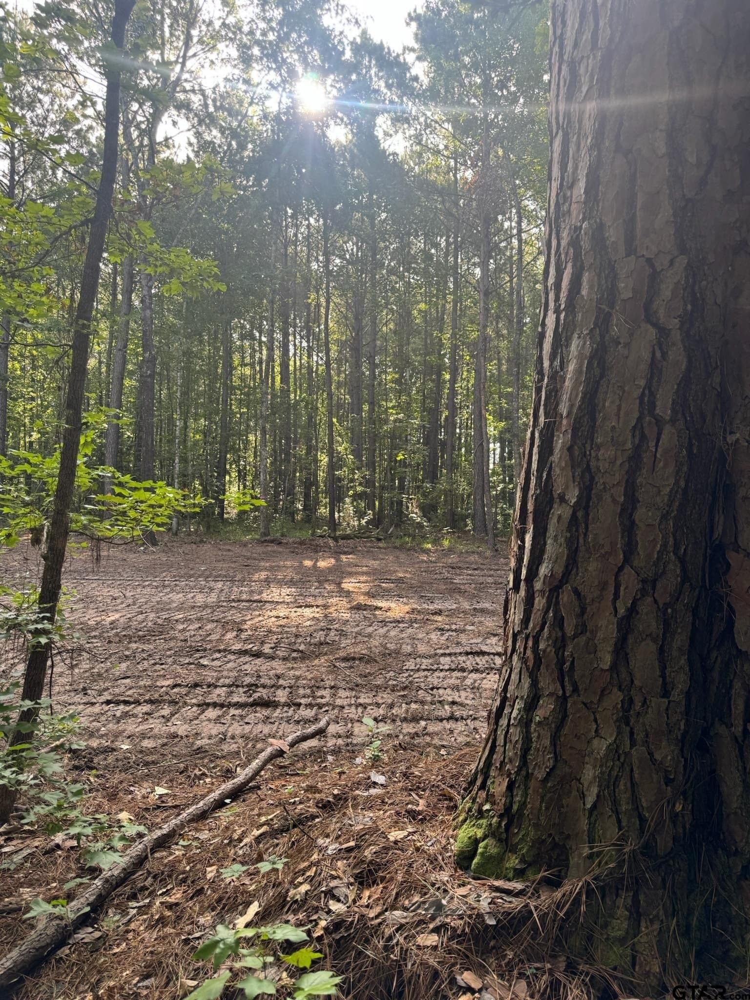 5 acres in Cherokee County - photo 4