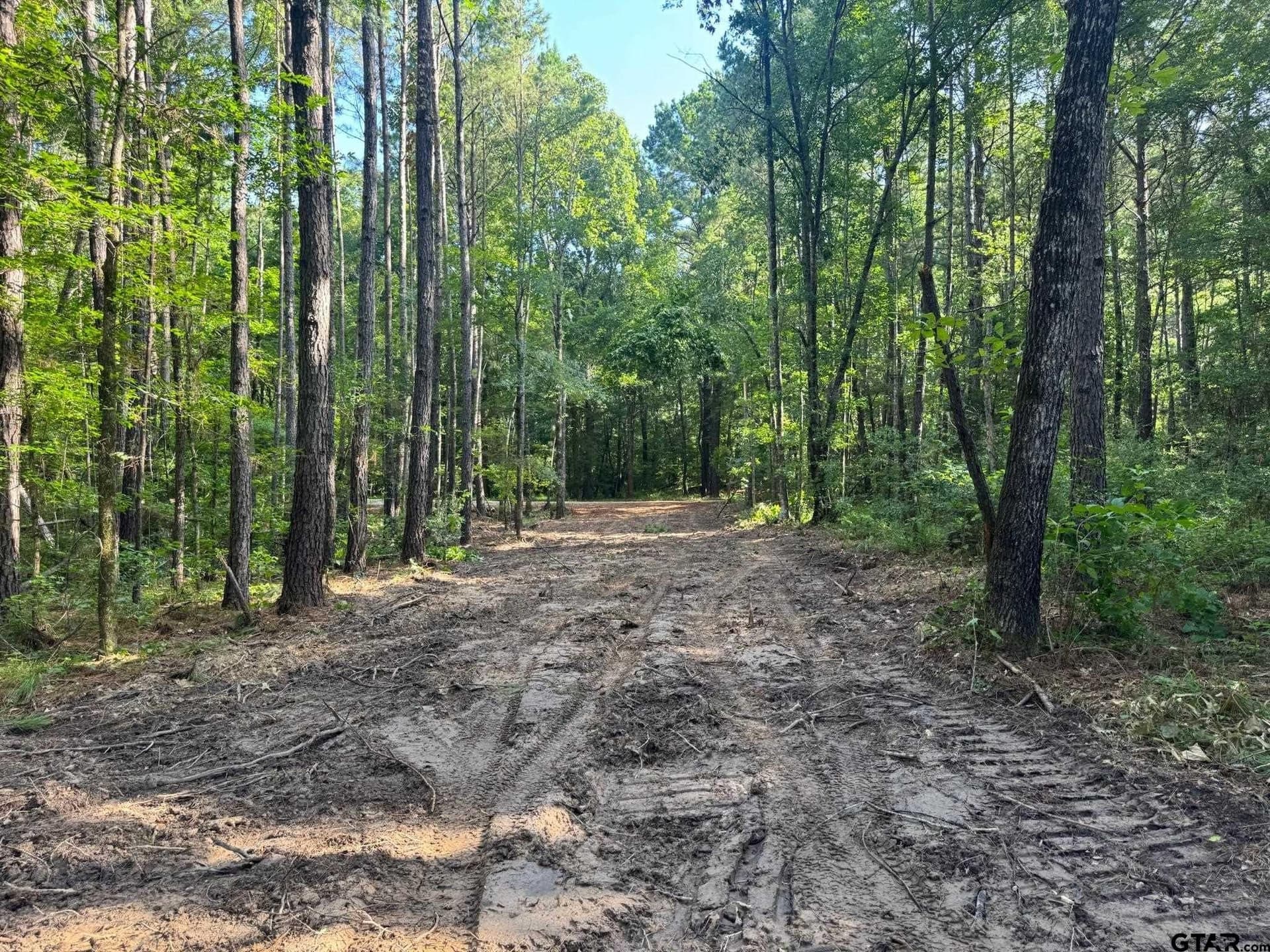 5 acres in Cherokee County - photo 6