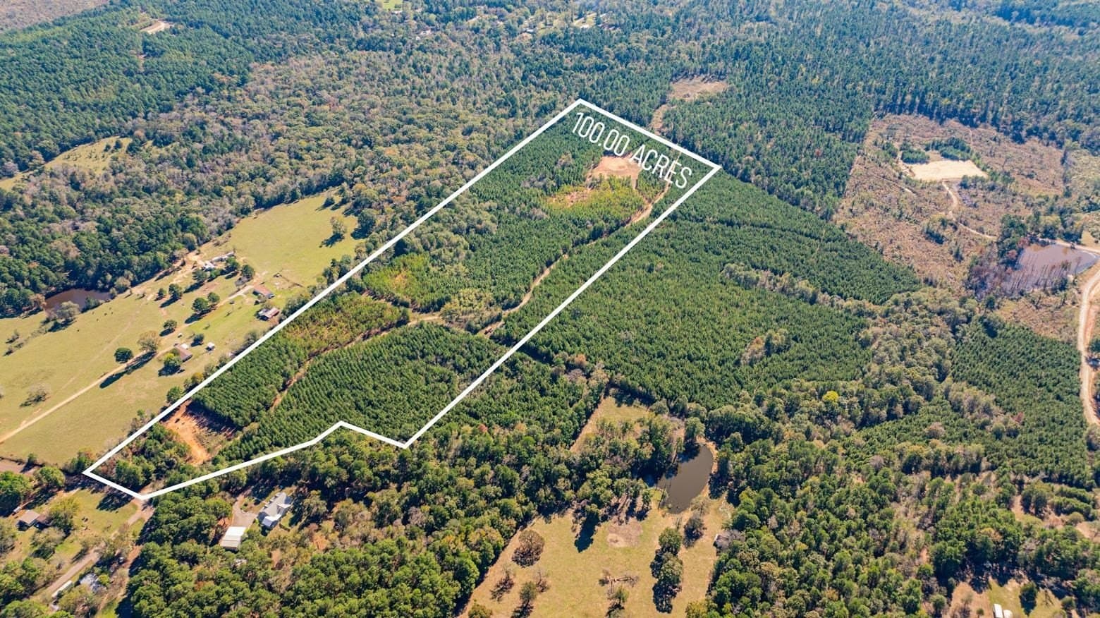 101.18 acres in Harrison County - photo 3