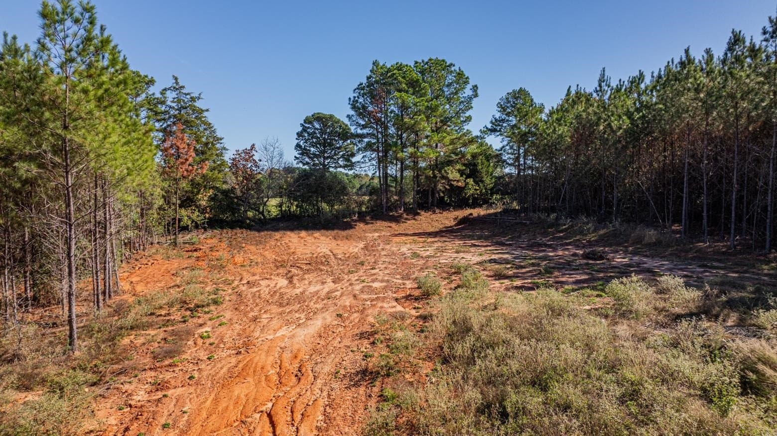 101.18 acres in Harrison County - photo 11