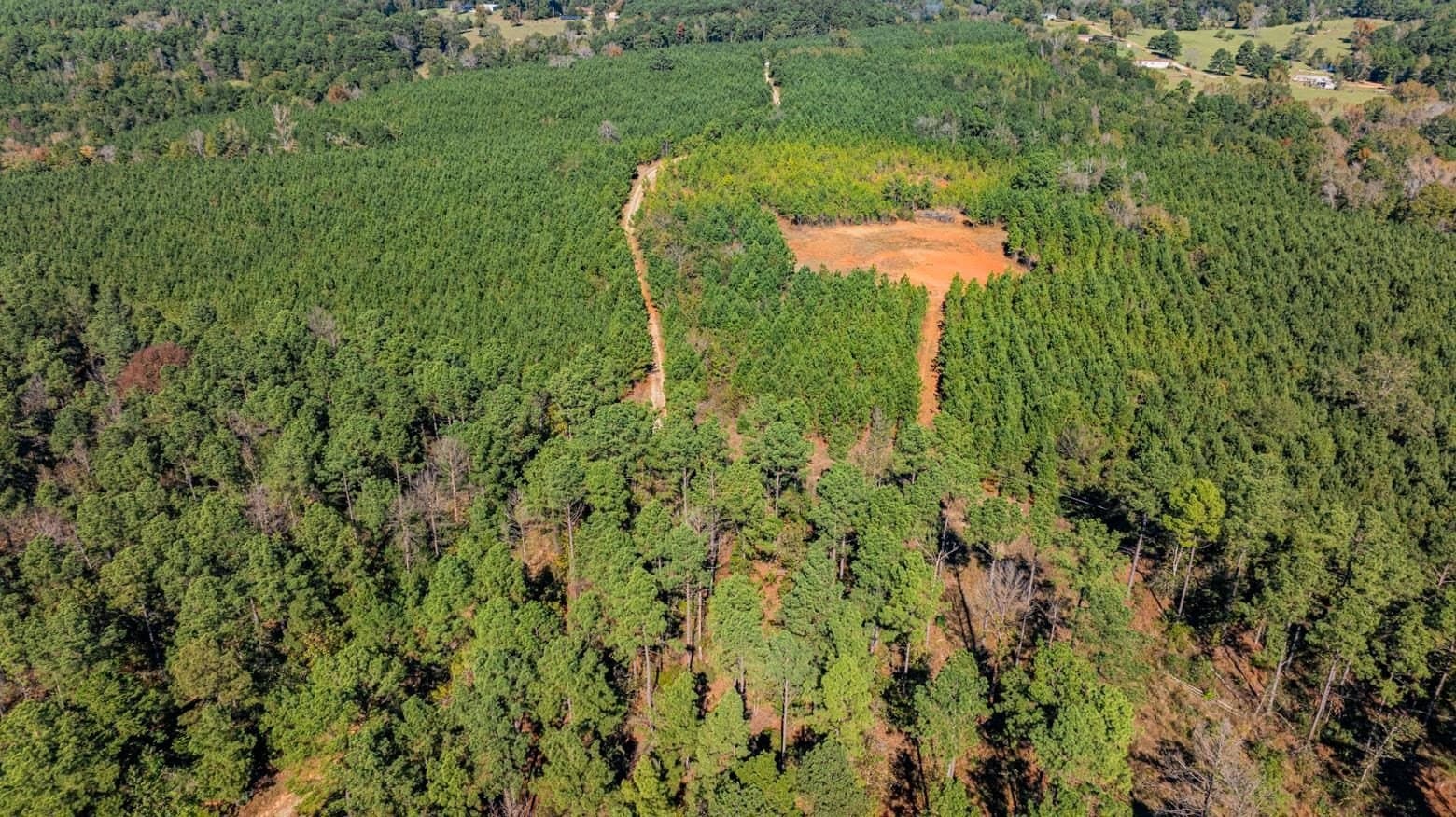 101.18 acres in Harrison County - photo 7
