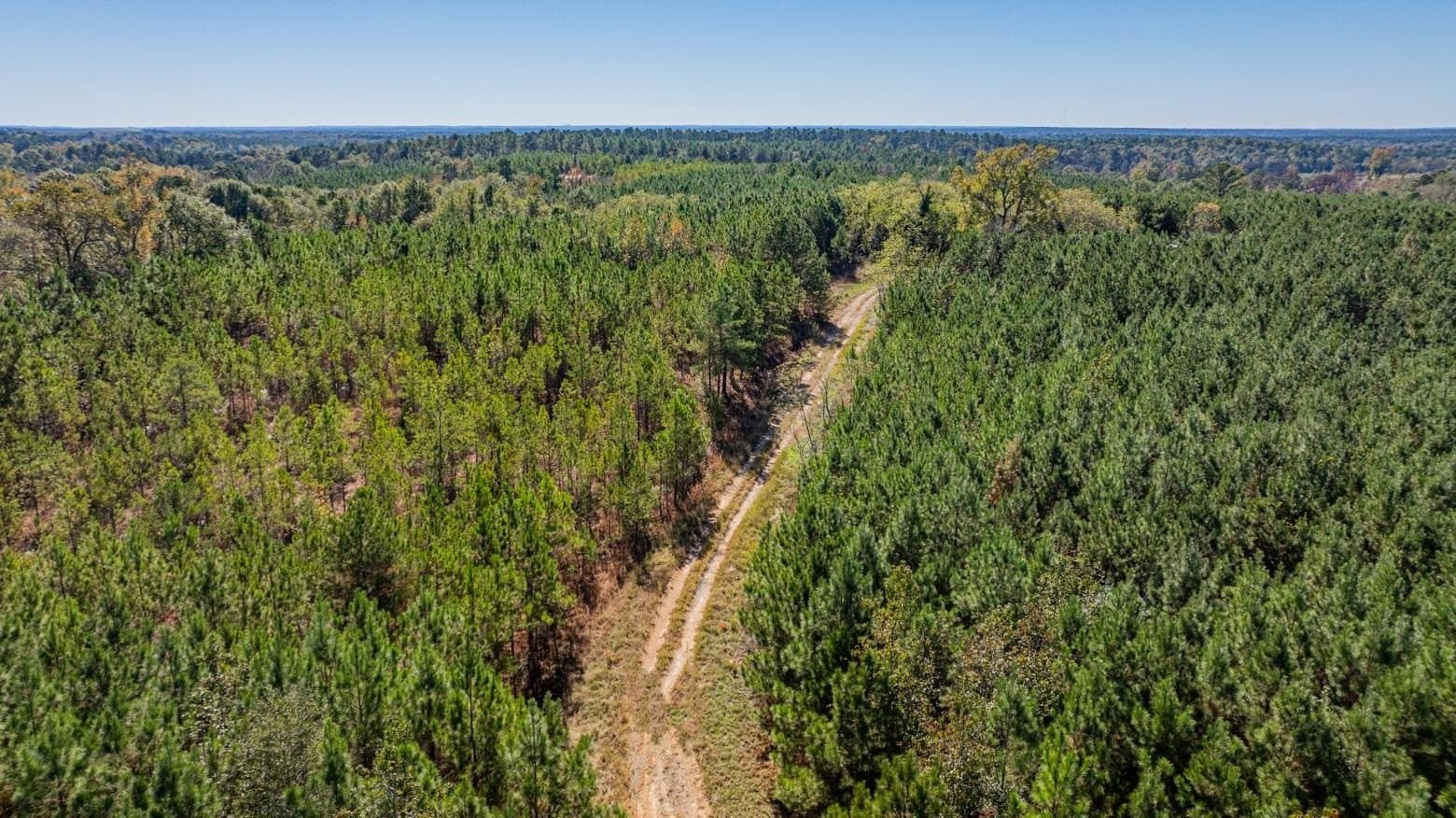 101.18 acres in Harrison County - photo 15
