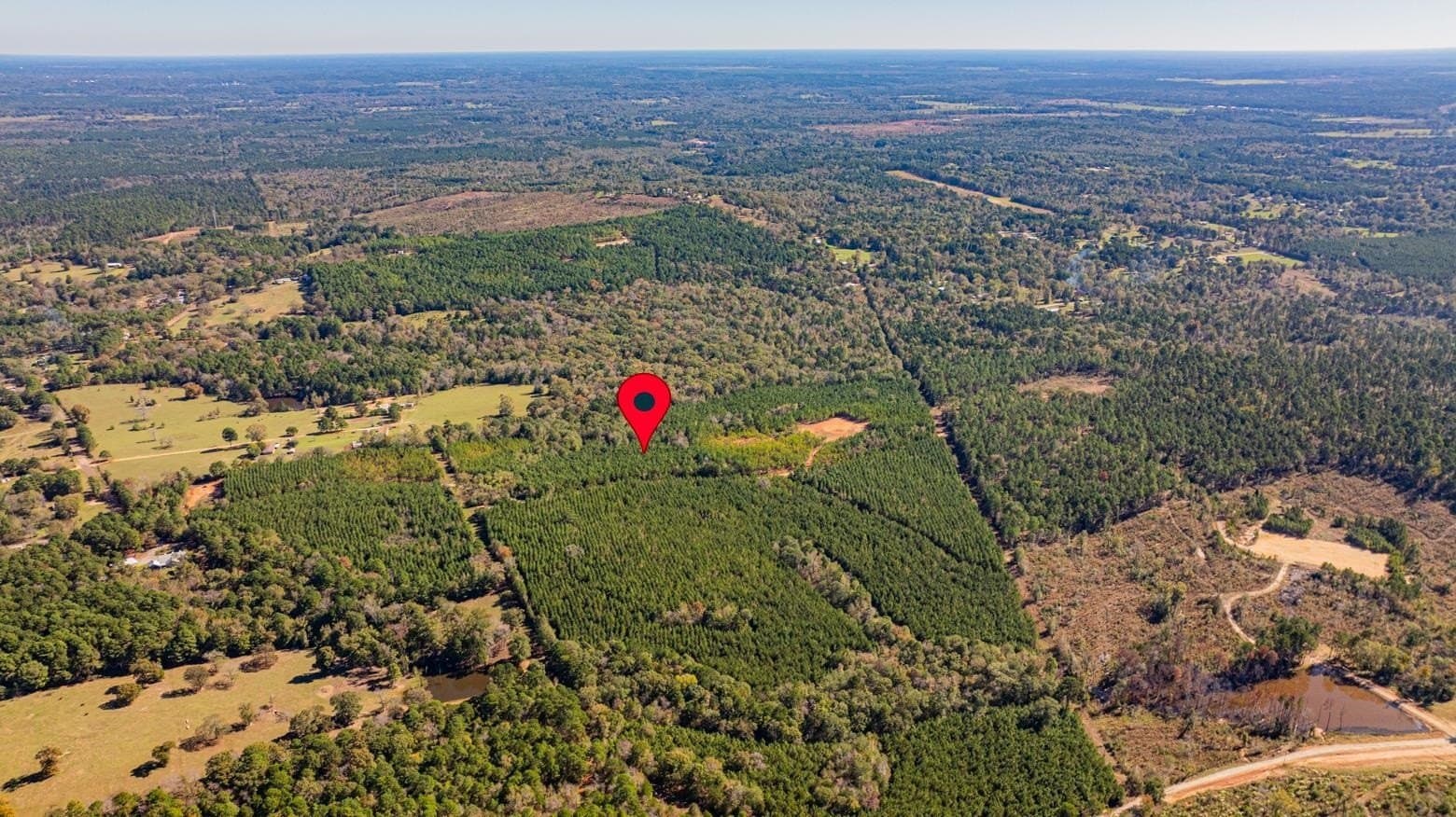 101.18 acres in Harrison County - photo 4