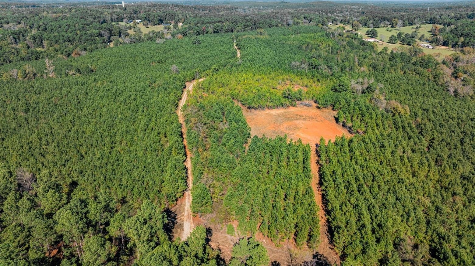 101.18 acres in Harrison County - photo 8
