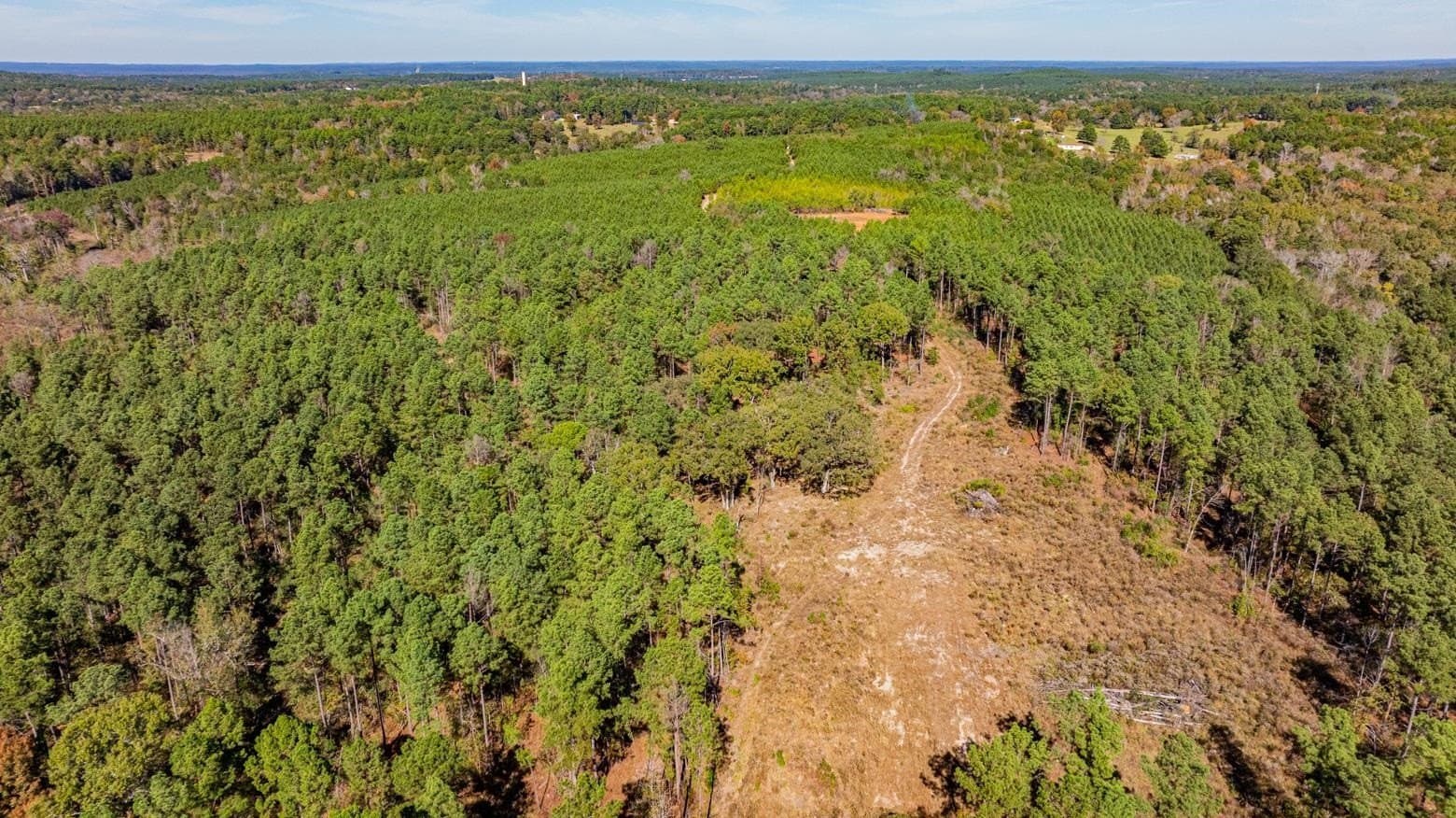 101.18 acres in Harrison County - photo 5