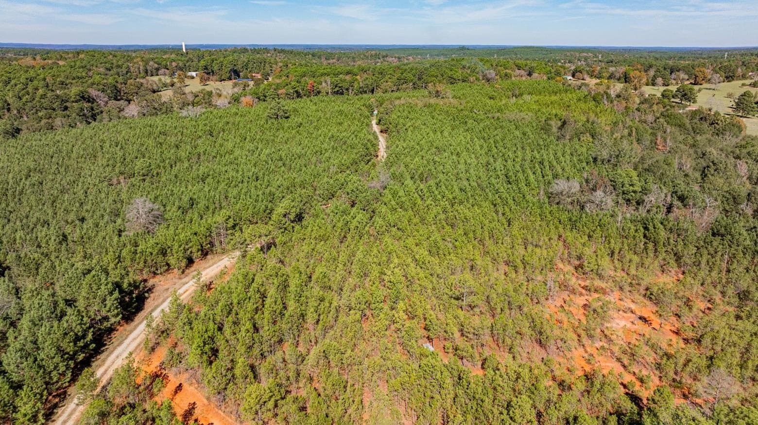 101.18 acres in Harrison County - photo 9