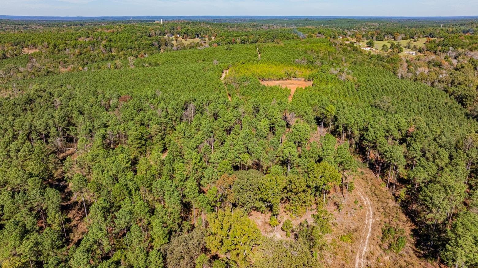 101.18 acres in Harrison County - photo 6