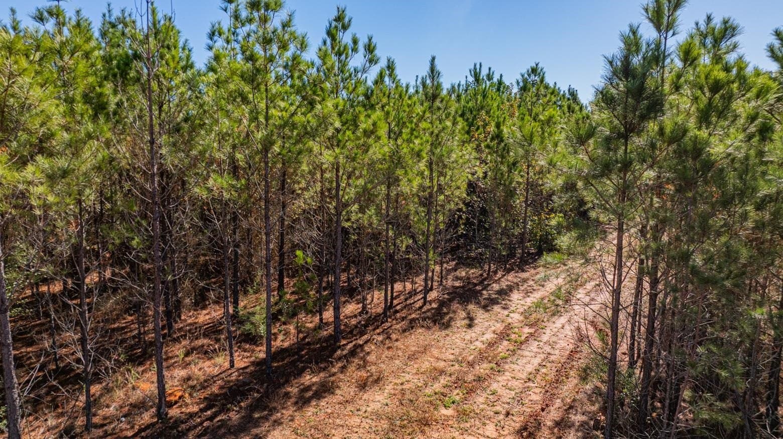 101.18 acres in Harrison County - photo 17