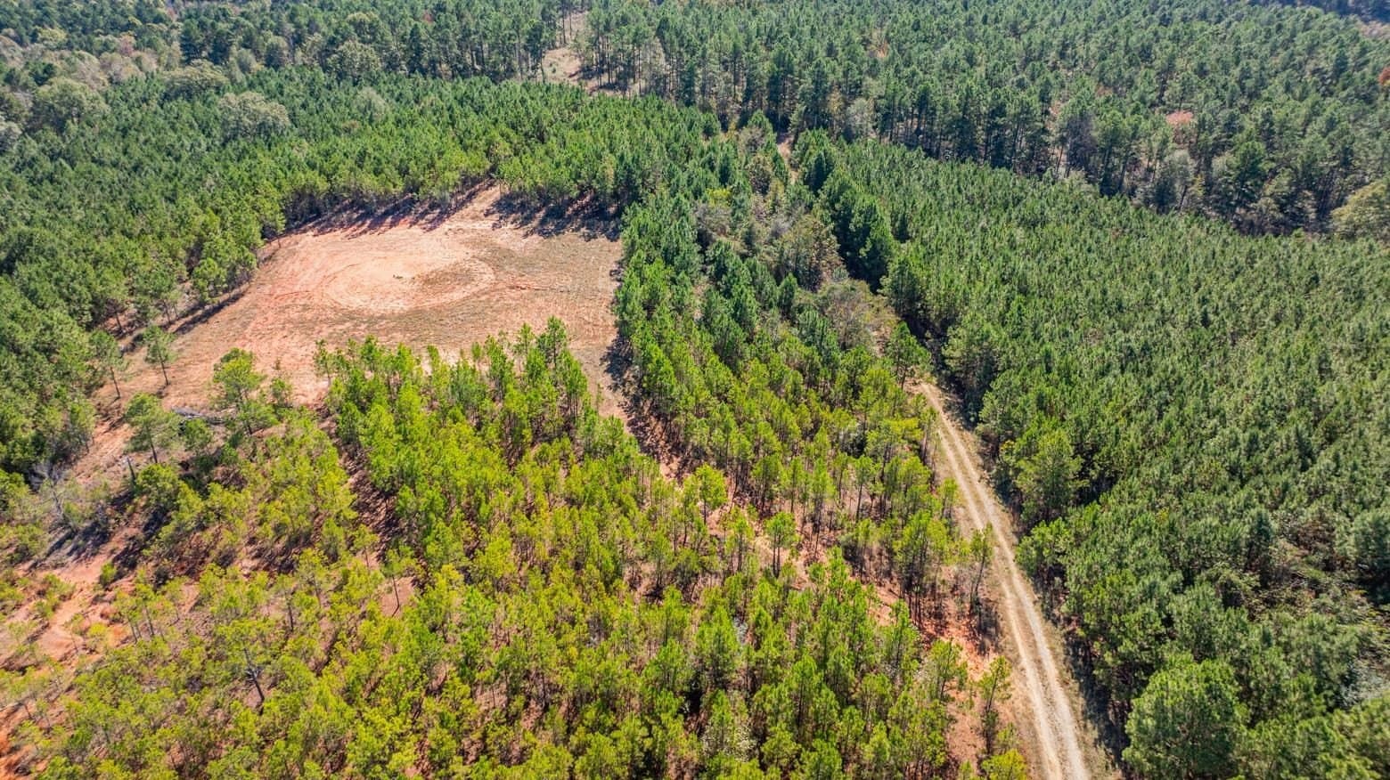 101.18 acres in Harrison County - photo 16
