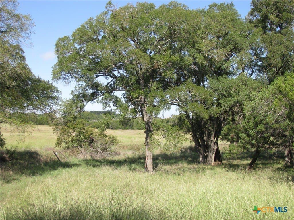 62.14 acres in Coryell County - photo 17
