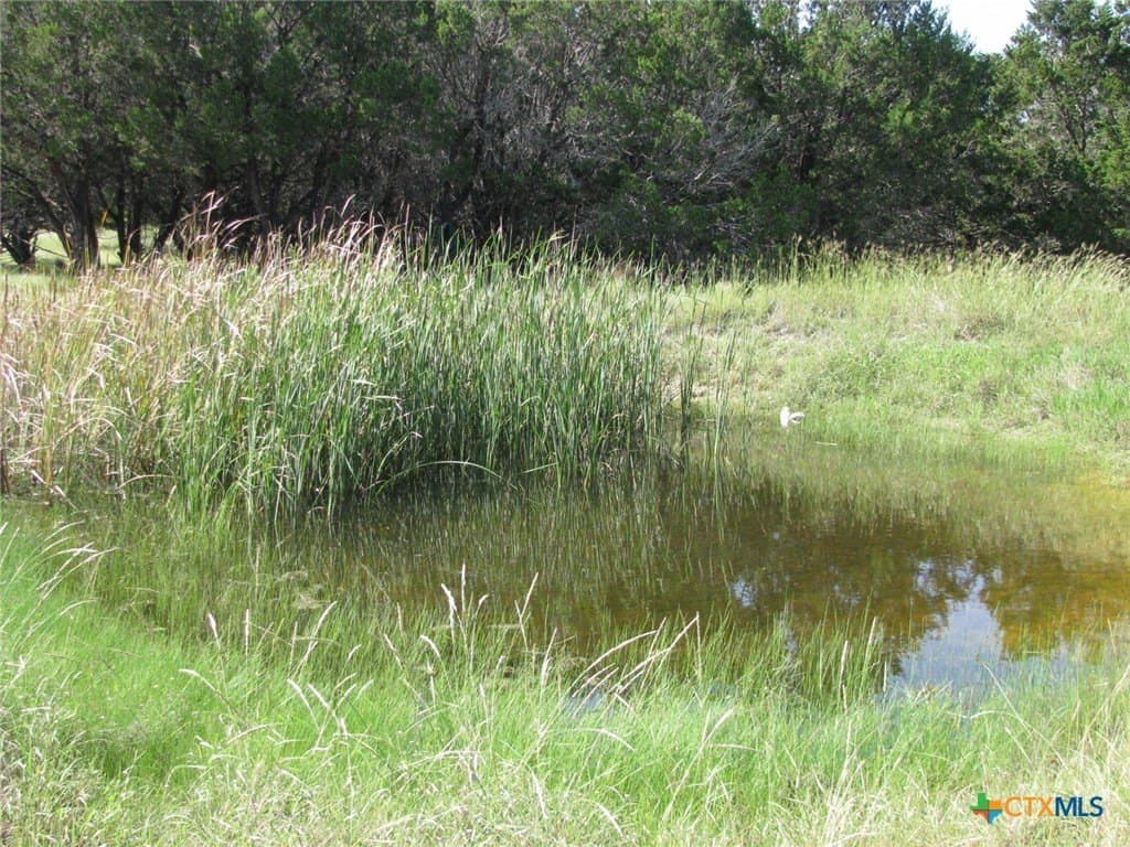 62.14 acres in Coryell County - photo 27